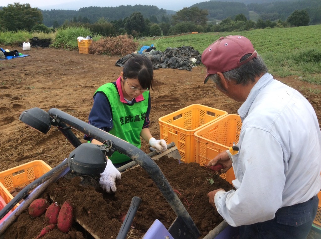Reports On Kumamoto Japan Earthquake Relief Fund Globalgiving