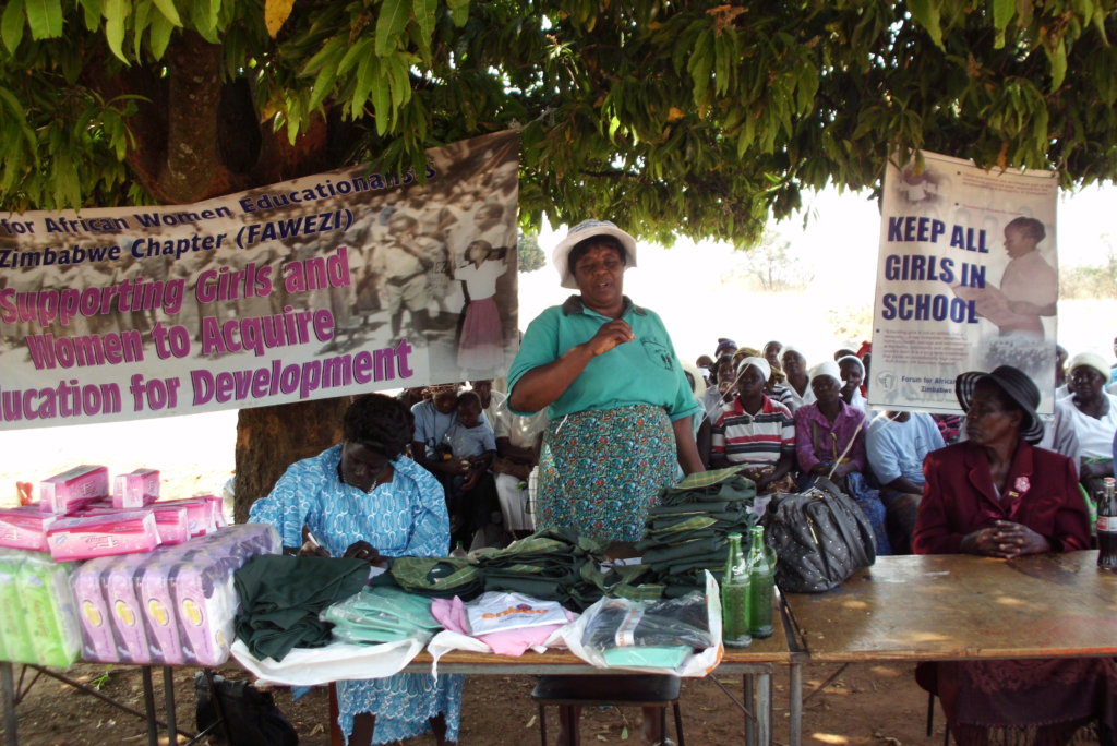 Help 30 Zimbabwean women and girls re-enter school