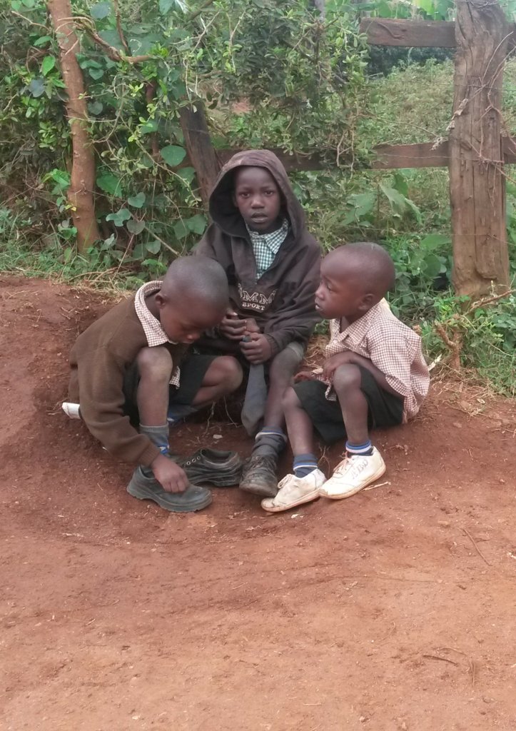 The Captivating Foster Family Micro-Loans Program