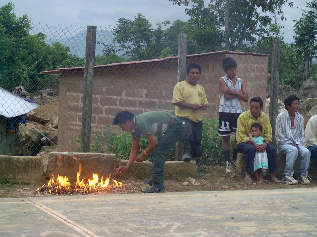 Salvage Precious Forests in Mexico