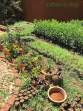 Tree nursery Ambohibary