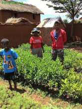 Tree nursery Ambohibary 2