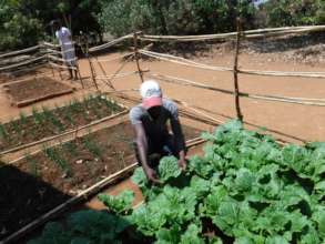 Donne growing vegetables for the (future) school's