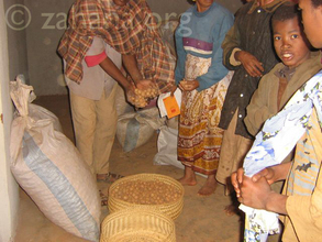 Distributing potatoes as part of the seed bank micorcredit