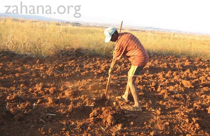 Changing lives in the village of Fiarenana