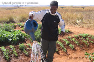 Bary the gardener at work in the school garden