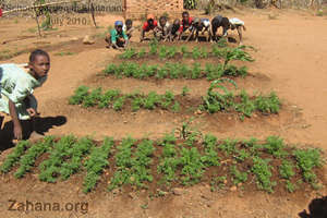 The new beds planted with vegetables
