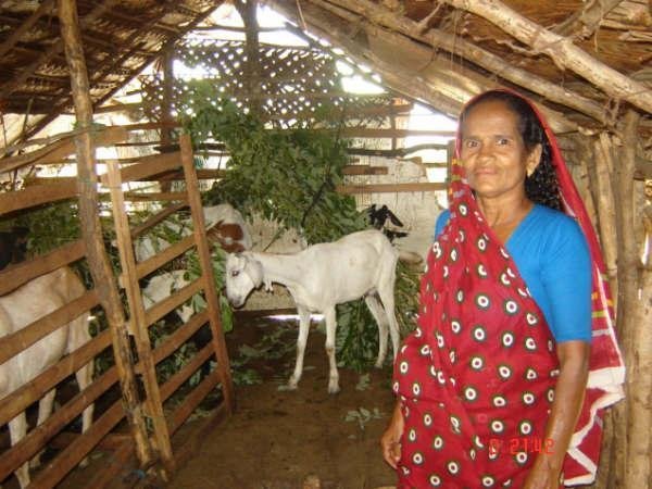 Services for Tsunami Affected Women in Sri Lanka