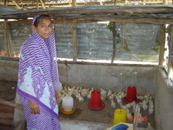 Services for Tsunami Affected Women in Sri Lanka