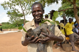 A farmer receiving seedlings for planting
