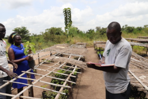 Ocaya tracking seedlings in the nursery