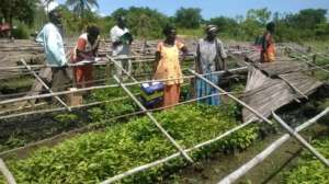Women monitoring progress in the nursery