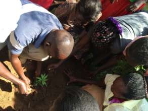 Women learning tree seedling care!