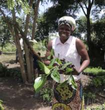 Women caring for future trees
