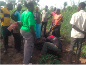 Planting native tree seedlings with local farmers