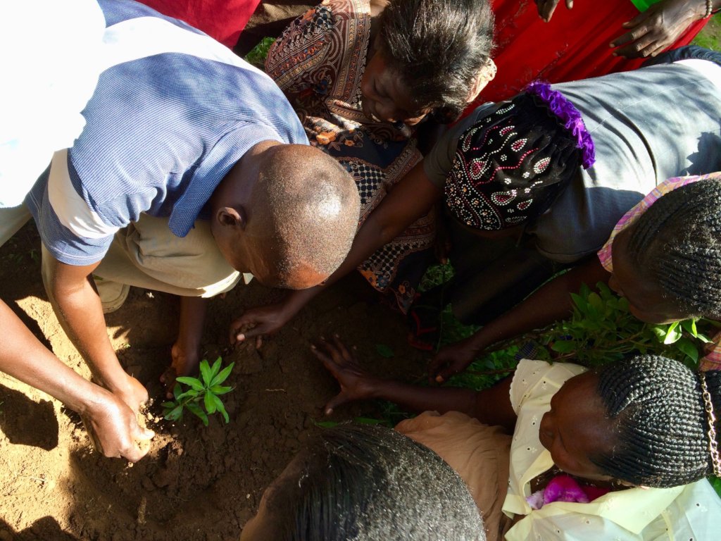 Reforest native trees, empower women healers
