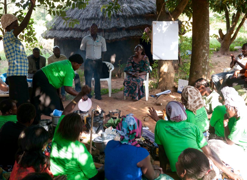 Reforest native trees, empower women healers