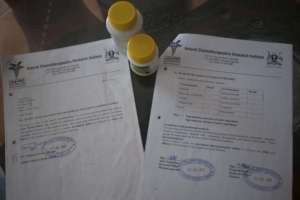 Verified Herbal Medicine