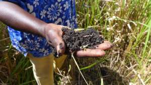 Ugandan Soil