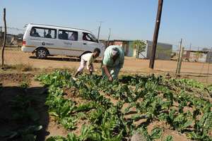 Topsy Vegetable Gardens