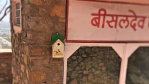 Melodious chirping of Sparrow Bird !!