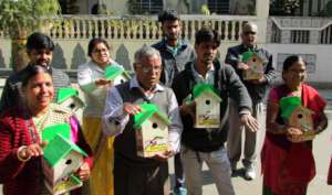 Save the innocent Sparrow Birds !!