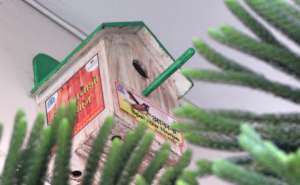 Melodious Chirping of Sparrow !!