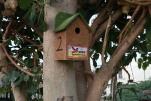 Sparrow eco-friendly nests