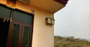 Sparrow home under the Aravalli mountain