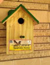 A Sparrow lover's affected by the Project !!
