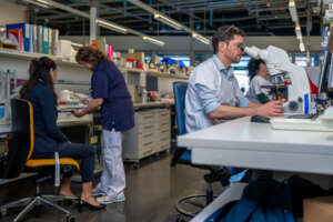 Promoting Young Talent: Investing in the Future