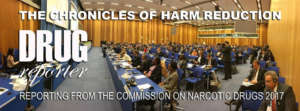 Drugreporter working at the UN