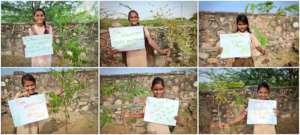 Student's Adopted the TREEs