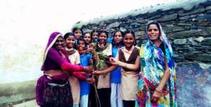 Girl Students are Planting Trees in school