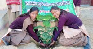 Save Tree ~ Save Earth ~ Save Life !!