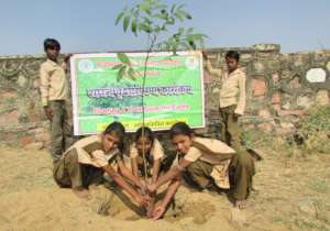 Plant A Tree Build A GreenLand !!