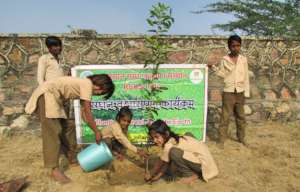 Plant A Tree Build A GreenLand !!