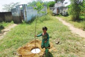 Adopt a Tree; Tree Plant with School Kids!!