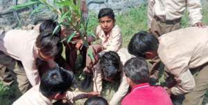 Adopt a Tree; Tree Plant with School Kids!!