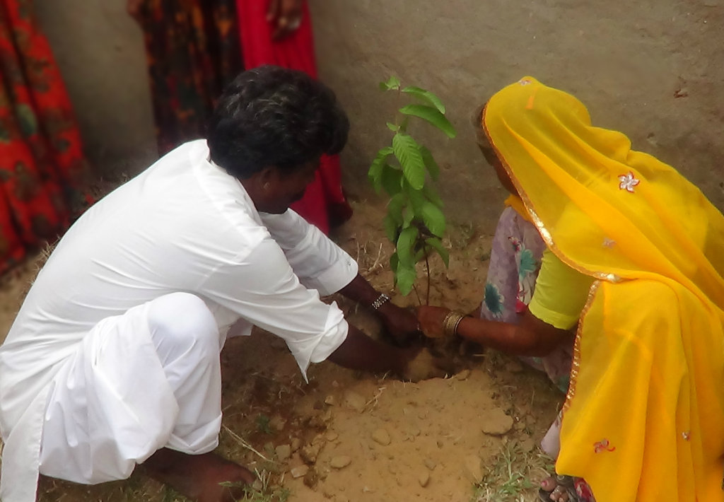 Adopt a Tree; Protect Environment & Earth