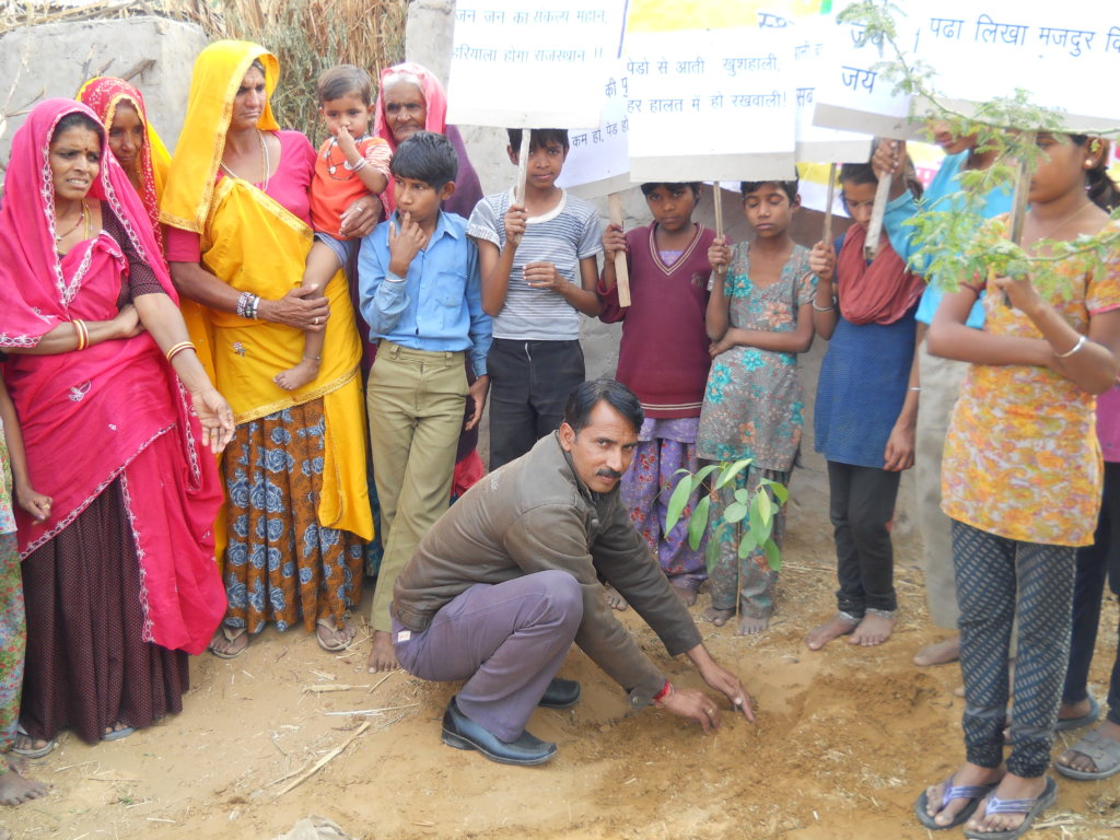 Adopt a Tree; Protect Environment & Earth