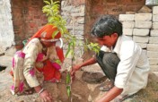 Adopt a Tree; Protect Environment & Earth