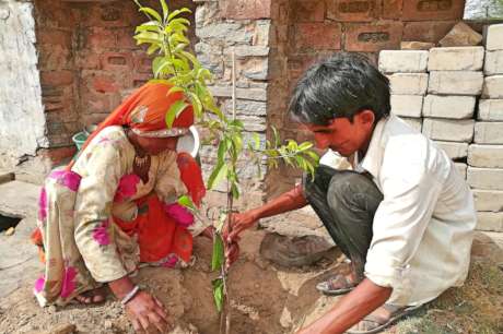 Adopt a Tree; Protect Environment & Earth