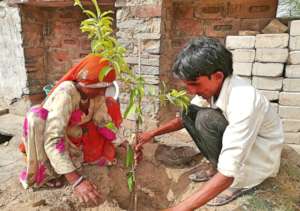 Adopt a Tree; Protect Environment & Earth