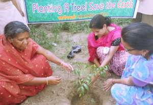 Tree Plantation with Giving Tuesday India !!