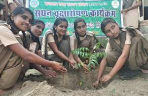 Tree Plantation with Giving Tuesday India !!