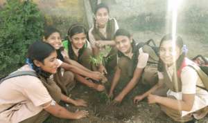 Tree Plantation with Giving Tuesday India !!