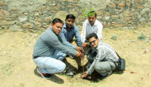 Tree Plantation !!