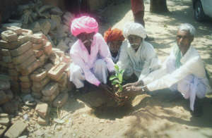 Adopt a Tree; Protect Environment & Earth