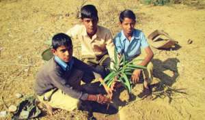 School children Planting Trees